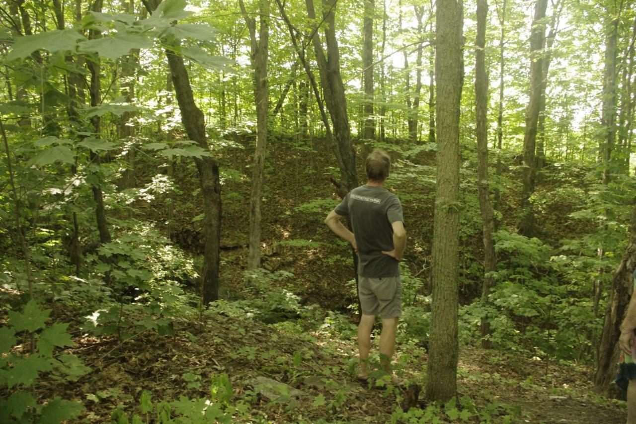 Gite Au Pied Des Appalaches Sainte-Sophie-D'Halifax Eksteriør bilde